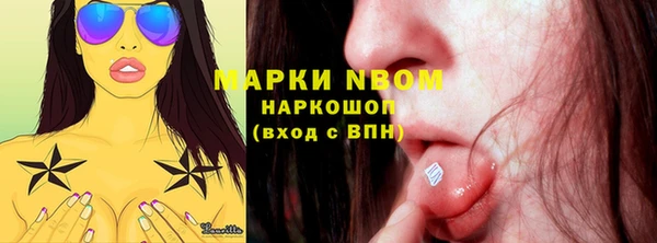 мдпв Няндома