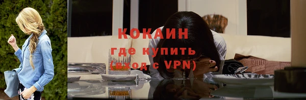 мдпв Няндома