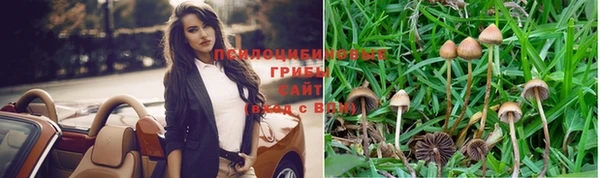 мдпв Няндома