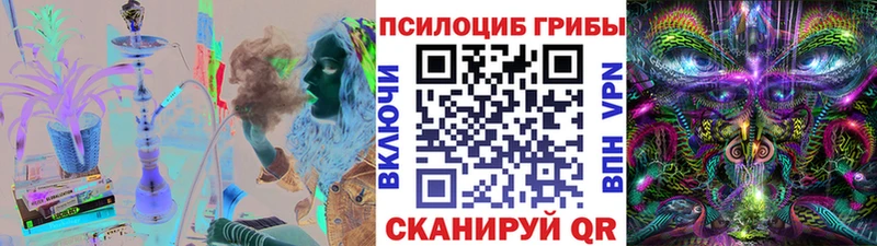 OMG маркетплейс  Петров Вал  Галлюциногенные грибы Psilocybe  хочу  